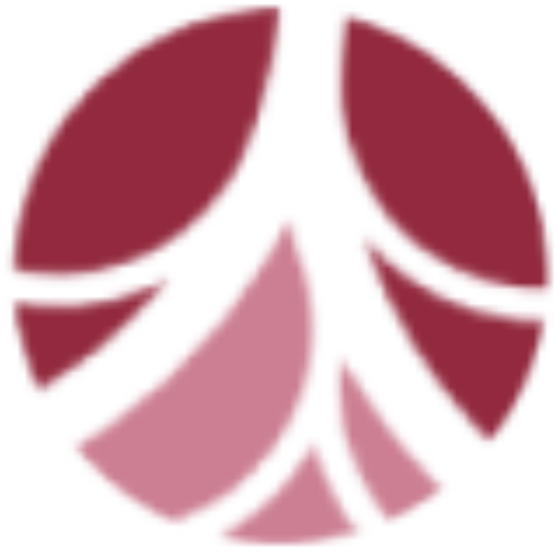 Dra Larissa Arbex - Cirurgiã vascular e Angiologista